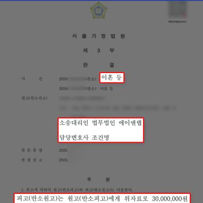 [이혼] 유책배우자 상대로 위자료 3,000만 원 청구 및 과도한 재산분할 방어해